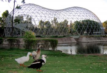 Aviaries Domes Manufacturer | Home Aviary Design | Geo Domes