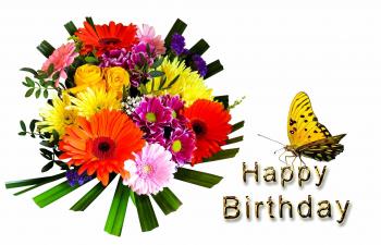 Happy Birthday Flower Images Free Download Unique Free Stock Photo ...