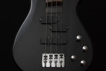 Black 4 Stringed Guitar