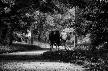Black and White Photo of 3 Woman Walking in Forest