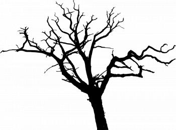 Tree Silhouette at GetDrawings.com | Free for personal use Tree ...
