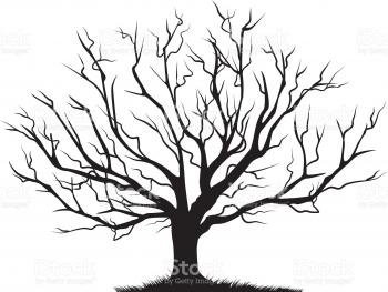 Deciduous Bare Tree with Empty Branches Black Silhouette isolated on ...