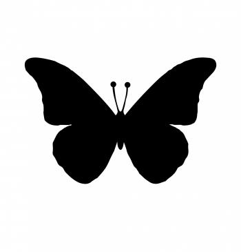 Black Butterfly Free Stock Photo - Public Domain Pictures
