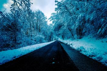 Black Concrete Road Surrounded by Trees With Snow