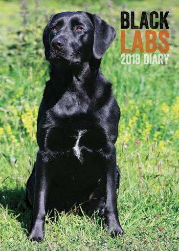 Black Labrador Retrievers A5 Diary 2018 - Calendar Club UK