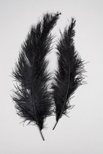 1/4 LB. Black 20" Ostrich Feathers Spads