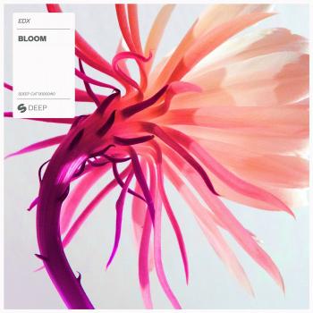 EDX - Bloom (Extended Mix) by clemdj - HulkShare