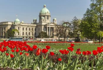 Blooming Belgrade - Taste Serbia