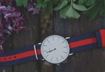 Blue and Red Strap Silver Round Analog Watch Beside Purple and Green Leaf Plant