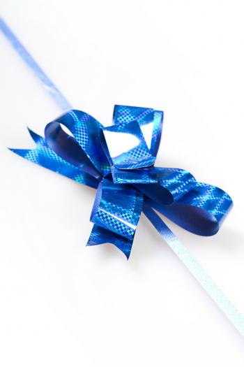 Blue bow