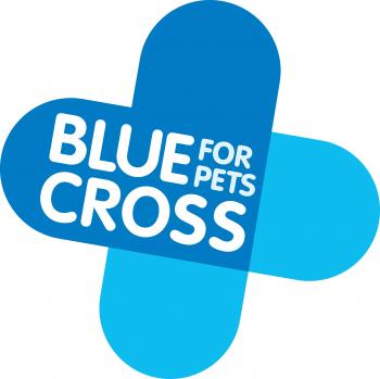Blue Cross Rolleston (@Blue_Cross_Roll) | Twitter