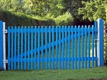 Blue Fence