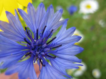 blue | everyphototunity