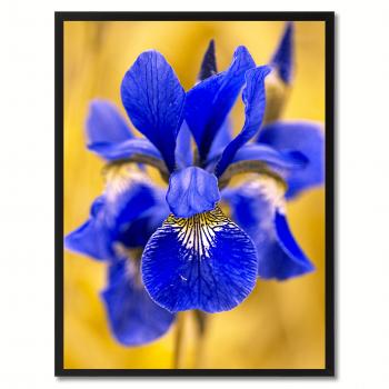 Blue Iris Flower Wall Art Home Décor Frame – SpotColorArt