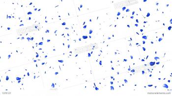 Falling Sakura Petals Cherry Blossoms 8 Blue Stock Animation | 1376121