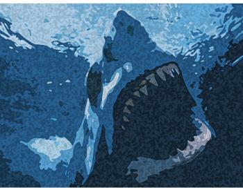 blue shark sketch