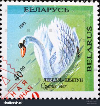 Vitebsk Belarus September 292017 Postage Stamp Swan Stock Photo ...