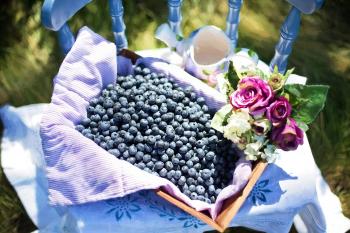 Blueberries in the Basket