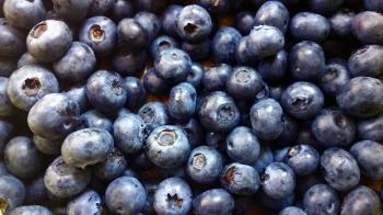Blueberry lot HD wallpaper | Wallpaper Flare