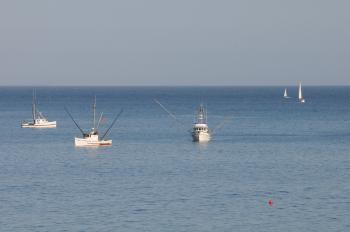 Boats on sea near shore