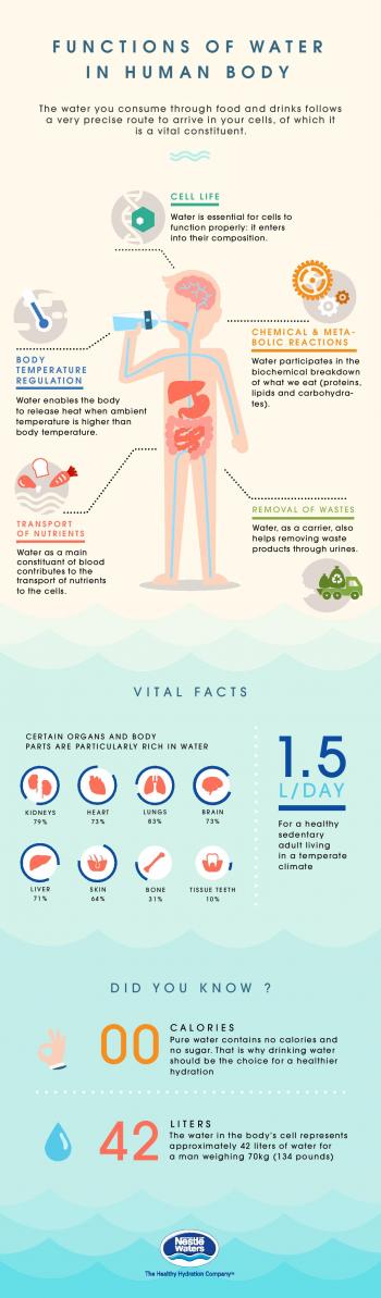 Main functions of water in the human body