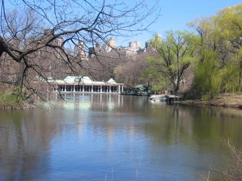 Lake - Central Park