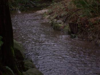 H2O | Home