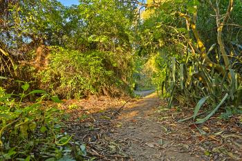 Botanical Gardens Trail - HDR