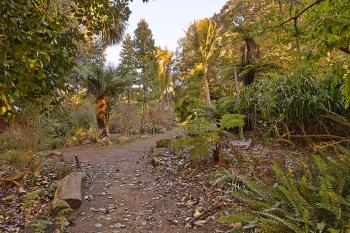 Botanical Gardens Trail - HDR