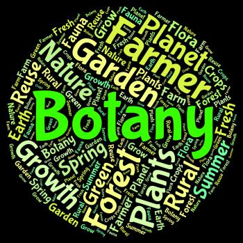 Botany Word Indicates Plant Life And Botanical