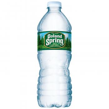 Amazon.com : POLAND SPRING 100% Natural Spring Water, 16.9-ounce ...