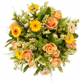 Gerberas – Dhalia Fleuriste