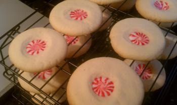 Brain Cookies | From the Desk of Mr. Foteah
