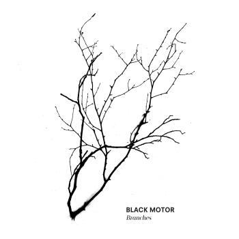Branches - Black Motor | Kudos Records