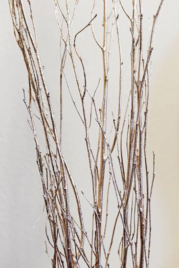 5 Gold Leaf Birch Branches Birch 5 Feet