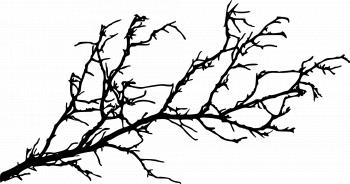Silhouette Tree Branch at GetDrawings.com | Free for personal use ...