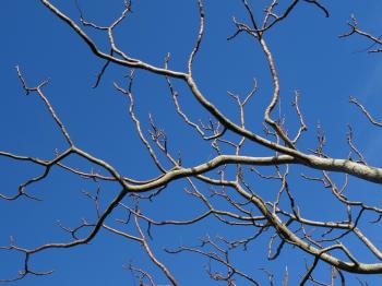 Git branches — rewriting history and avoiding nightmares (Part 1)