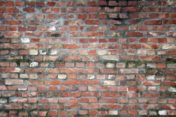 Cracked brick wall texture with some moss | Textures for photoshop free