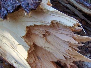 Rock Piles: Broken Wood