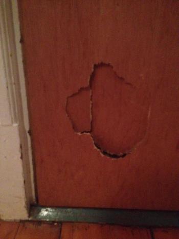 How to fix a cracked center of a hollow wooden door? - home damage ...