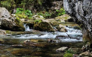Free stock photo of brook, creek, nature
