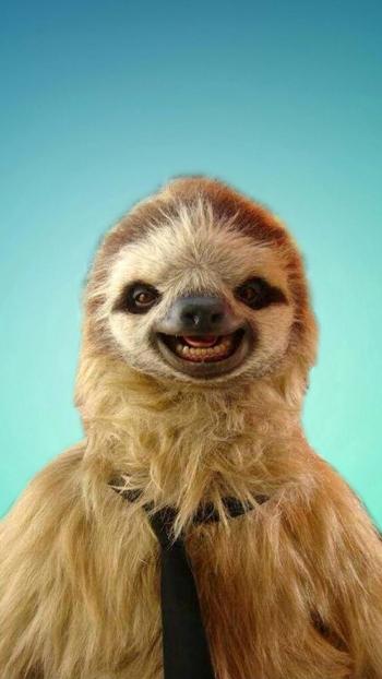 Sloth! A cute sloth phone wallpaper I made. | SLOTHS | Pinterest ...