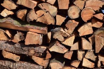 Free picture: firewood, woodpile, bark, wood, brown