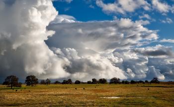 Brown Grass Field Under Cloudy Sky