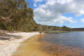 File:Brown Lake (North Stradbroke Island).JPG - Wikimedia Commons