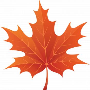 Brown Maple Leaf transparent PNG - StickPNG