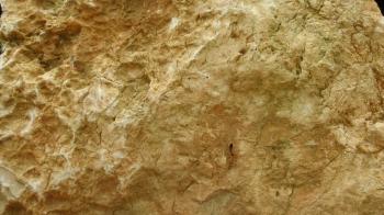 Texture of a brown rock | CC-Content