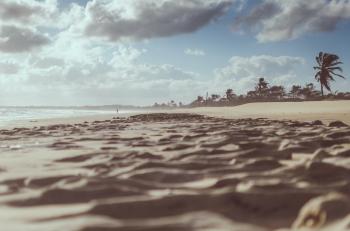 Brown Sands Under Blue Skies Photography