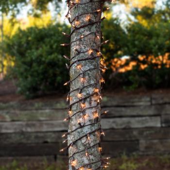 Christmas Net Lights - 6" x 12' Trunk Wrap - 150 Clear Lights, Brown ...