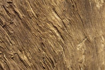 Image of Brown irregular rough wooden surface, close-up | Freebie ...